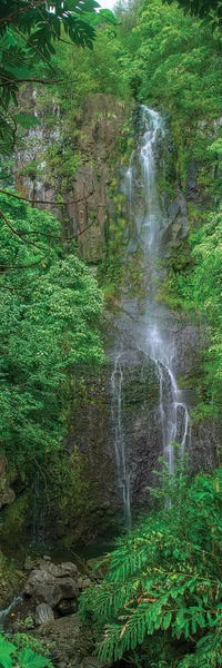 Large Photography - Canvas Prints: Maui Waterfall by Scott Bennion