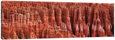 Bryce Canyon, Utah Canvas Art Print - Bryce Canyon National Park