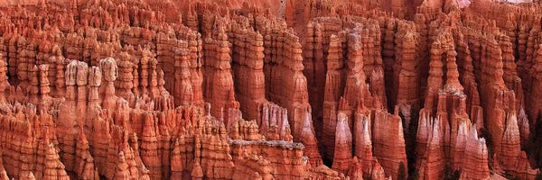 Bryce Canyon National Park: Bryce Canyon, Utah by Scott Bennion