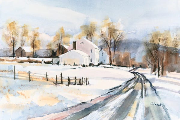 Stephen Calcasola: Snowed In by Stephen Calcasola