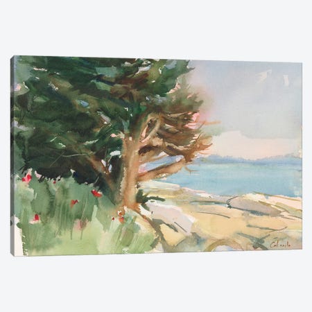 Boothbay Harbor Maine Canvas Print #SCC3} by Stephen Calcasola Canvas Art