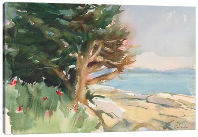 Boothbay Harbor Maine Canvas Art Print - Maine Art