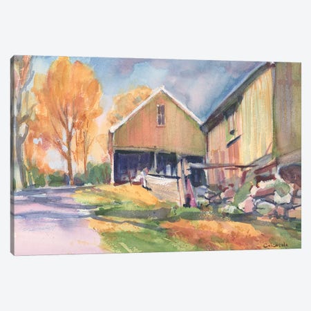 Country Road Canvas Print #SCC5} by Stephen Calcasola Canvas Art Print