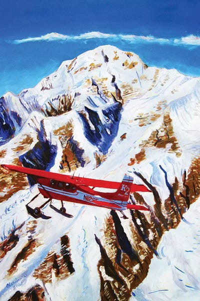 Flight Around Denali by Scott Clendaniel framed wall art