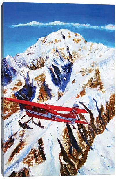 Flight Around Denali Canvas Art Print - Scott Clendaniel