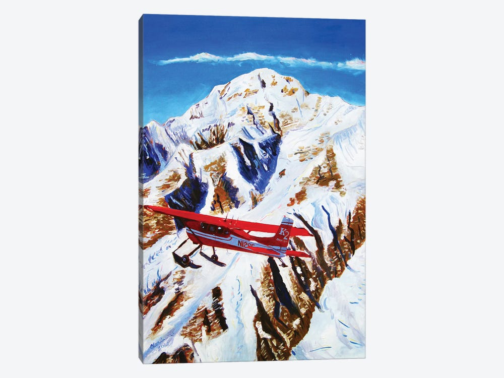 Flight Around Denali by Scott Clendaniel 1-piece Canvas Artwork