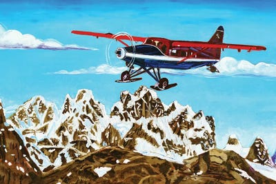 Ruth Glacier Landing by Scott Clendaniel framed canvas print