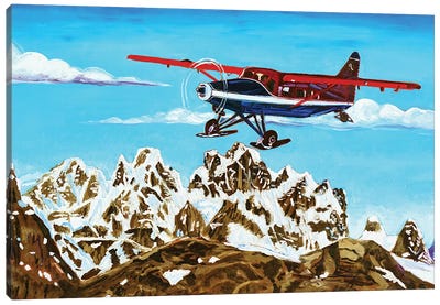 Ruth Glacier Landing Canvas Art Print - Scott Clendaniel
