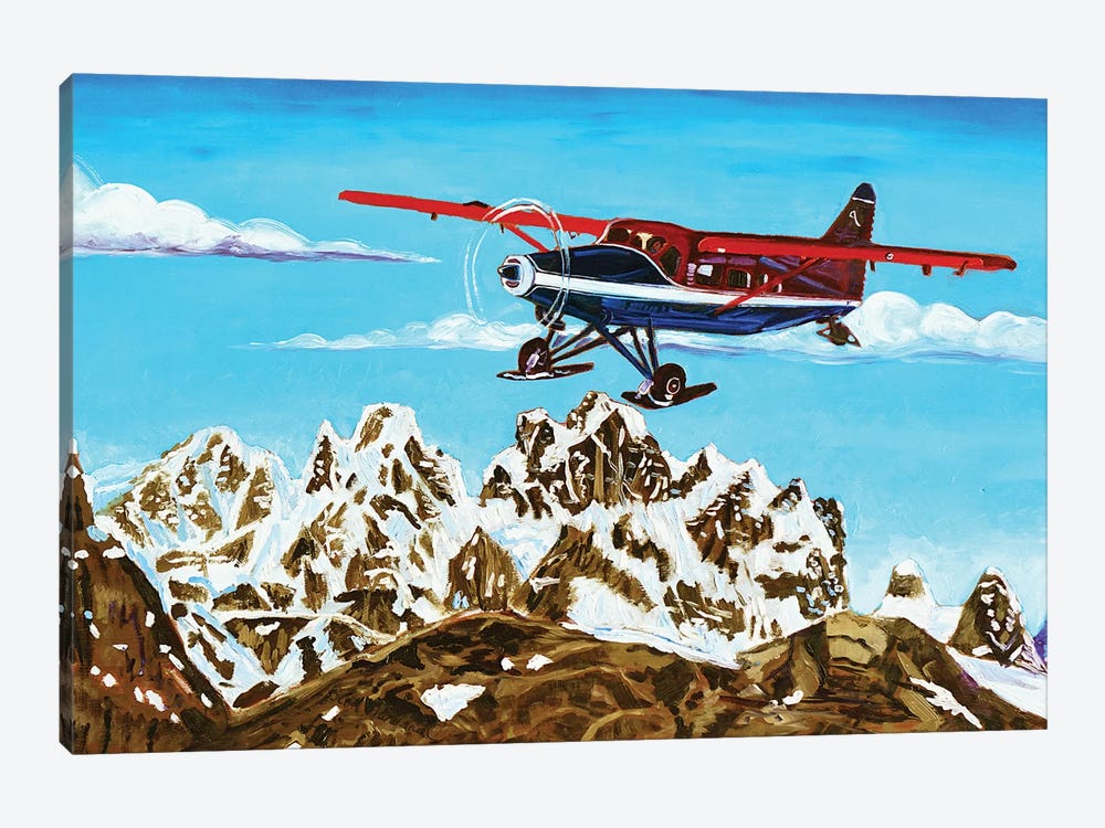 Ruth Glacier Landing by Scott Clendaniel 1-piece Canvas Wall Art