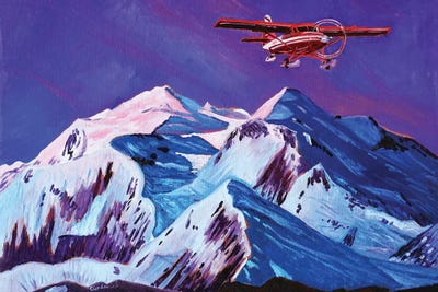 Talkeetna Retreat by Scott Clendaniel framed canvas print