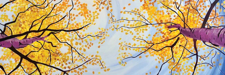 Autumn Overhead by Scott Clendaniel wall art