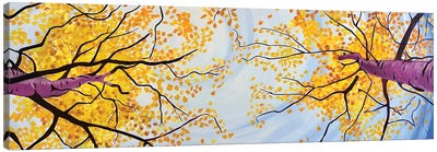 Autumn Overhead Canvas Art Print - Scott Clendaniel