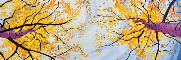 Tree Close-Ups: Autumn Overhead by Scott Clendaniel