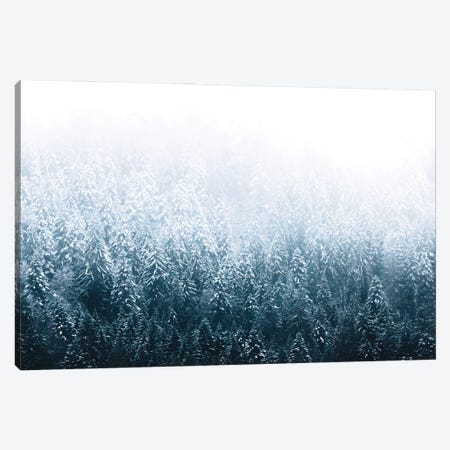 Minimalist Forest Covered In Snow And Fog Canvas Print #SCE107} by Michael Schauer Canvas Art
