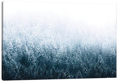 Minimalist Forest Covered In Snow And Fog Canvas Art Print - Michael Schauer