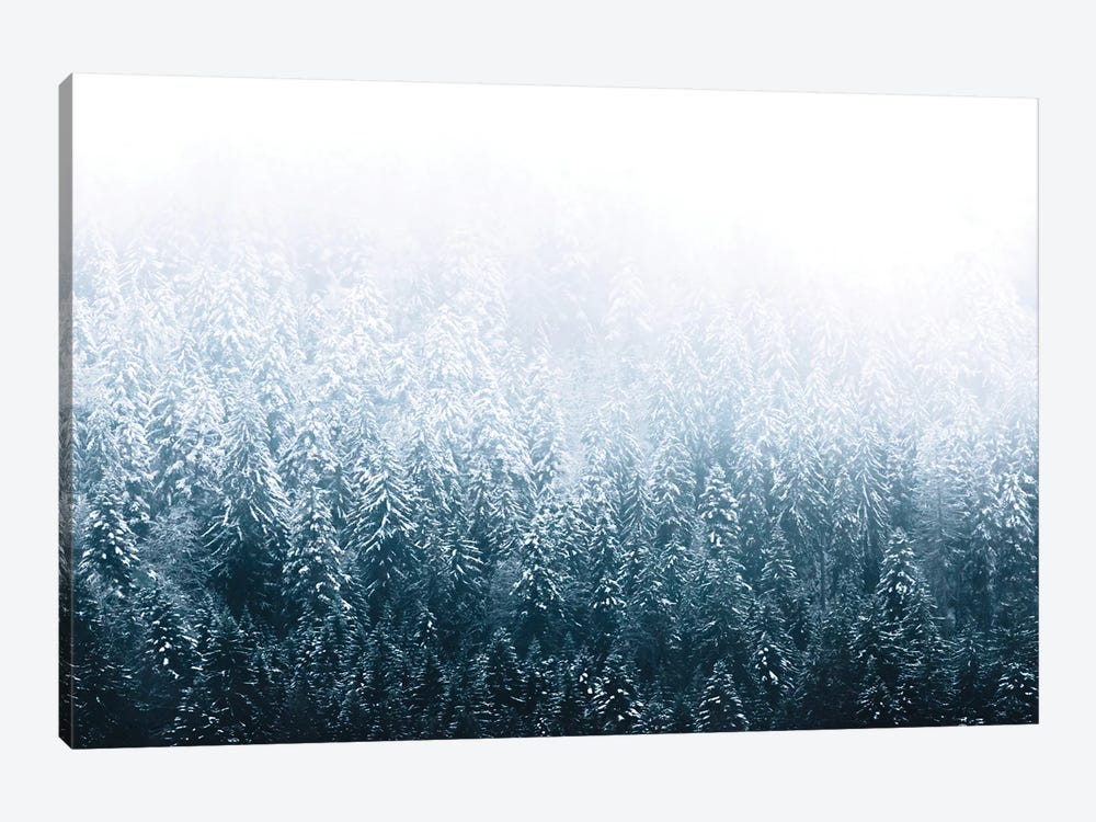Minimalist Forest Covered In Snow And Fog by Michael Schauer 1-piece Canvas Wall Art