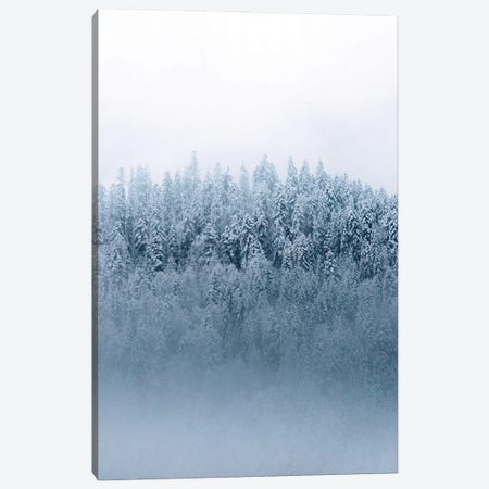 Minimalist And Moody Forest Covered In Snow And Fog Canvas Print #SCE108} by Michael Schauer Art Print