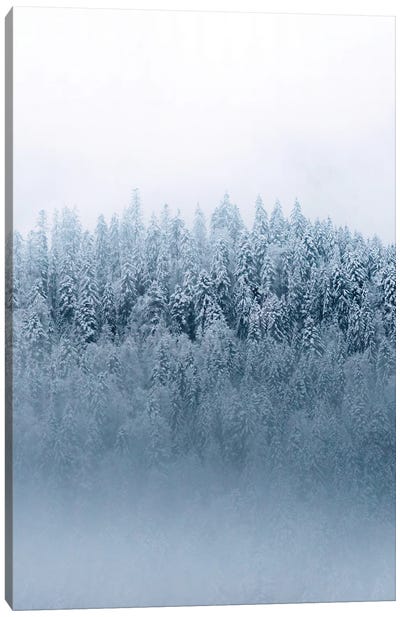 Minimalist And Moody Forest Covered In Snow And Fog Canvas Art Print - Michael Schauer