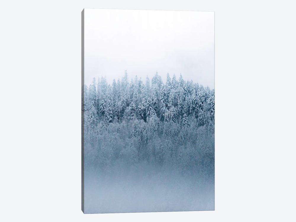 Minimalist And Moody Forest Covered In Snow And Fog by Michael Schauer 1-piece Canvas Print