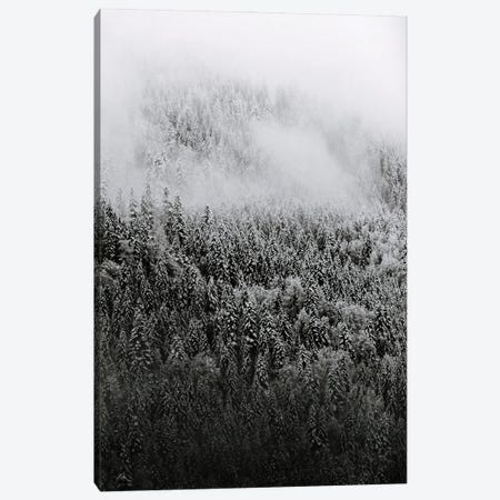Minimalist And Moody Forest Covered In Snow And Fog - Black And White Canvas Print #SCE109} by Michael Schauer Canvas Print