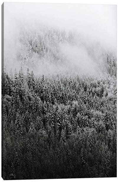 Minimalist And Moody Forest Covered In Snow And Fog - Black And White Canvas Art Print - Michael Schauer