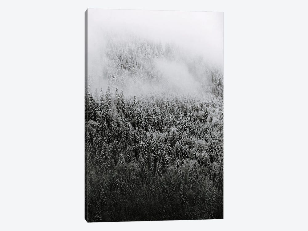 Minimalist And Moody Forest Covered In Snow And Fog - Black And White by Michael Schauer 1-piece Canvas Wall Art