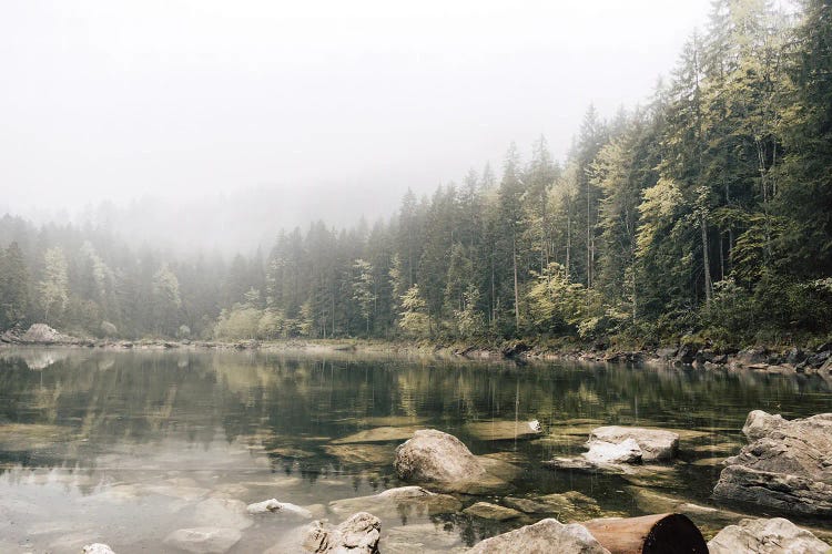 Calm Forest Lake During A Foggy Morning