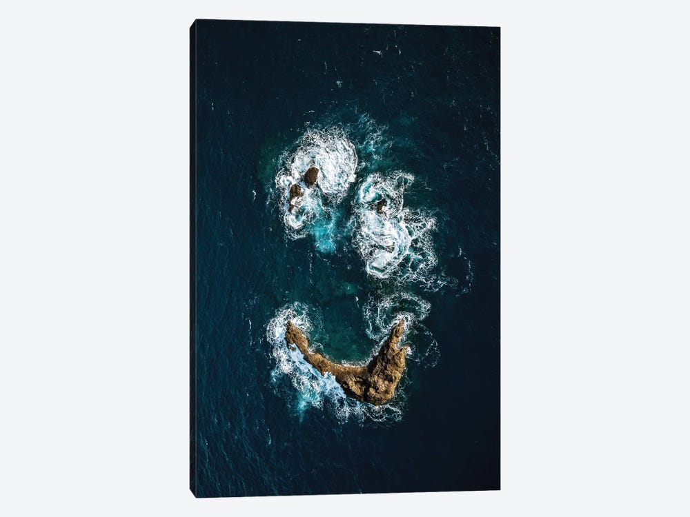 Ocean Smile by Michael Schauer 1-piece Canvas Wall Art