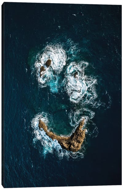 Ocean Smile Canvas Art Print - Michael Schauer