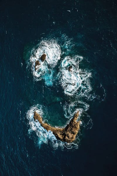 Michael Schauer: Ocean Smile by Michael Schauer