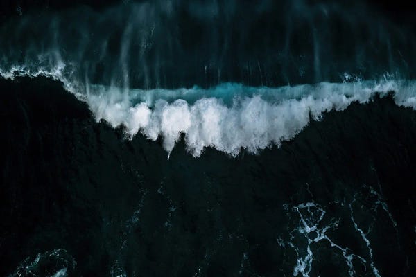 Michael Schauer: Wave In Motion by Michael Schauer