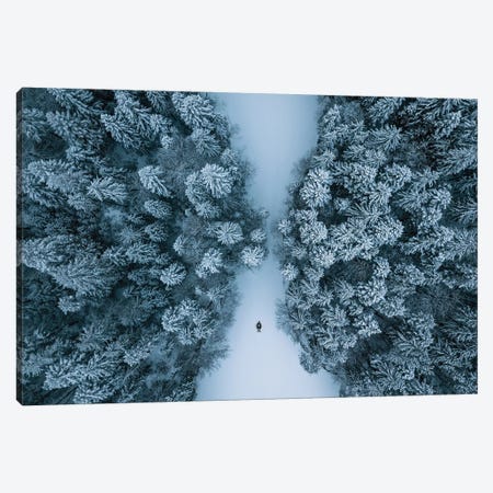 Man Lying On A Frozen Lake Framed By A Winter Forest Canvas Print #SCE126} by Michael Schauer Canvas Wall Art