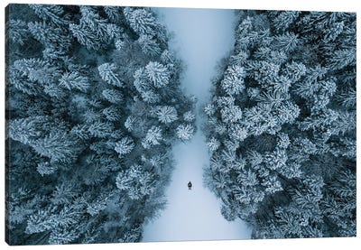 Man Lying On A Frozen Lake Framed By A Winter Forest Canvas Art Print - Michael Schauer