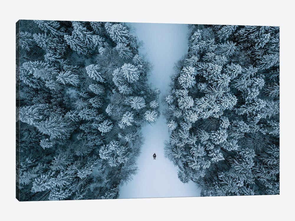 Man Lying On A Frozen Lake Framed By A Winter Forest by Michael Schauer 1-piece Canvas Art Print