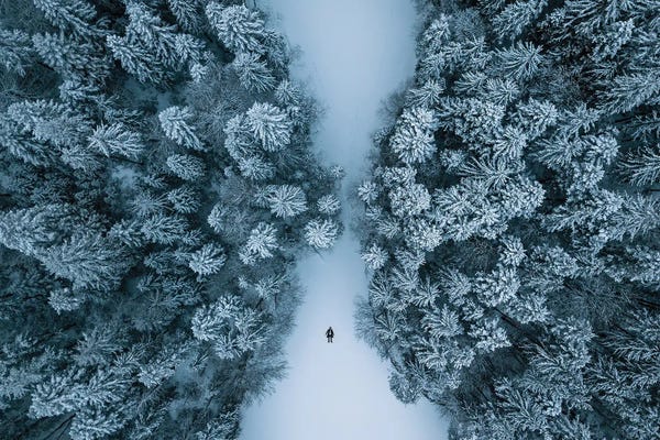 Michael Schauer: Man Lying On A Frozen Lake Framed By A Winter Forest by Michael Schauer