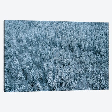 Frozen Winter Pine Forest From Above Canvas Print #SCE127} by Michael Schauer Canvas Wall Art