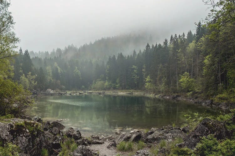 Calm Forest Lake During A Foggy Morning With Perfect Reflection