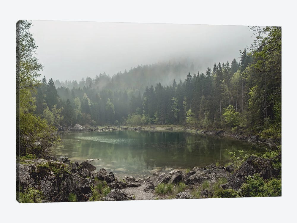Calm Forest Lake During A Foggy Morning With Perfect Reflection by Michael Schauer 1-piece Canvas Art Print