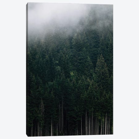 Moody Mountain Forest Covered In Fog Canvas Print #SCE143} by Michael Schauer Canvas Art Print