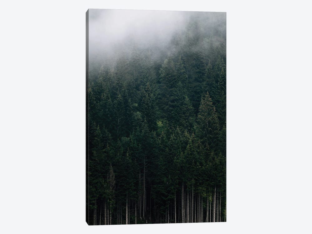 Moody Mountain Forest Covered In Fog by Michael Schauer 1-piece Canvas Artwork