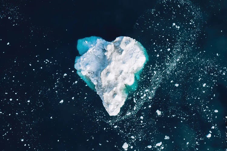 Heart In The Frozen Ocean by Michael Schauer wall art