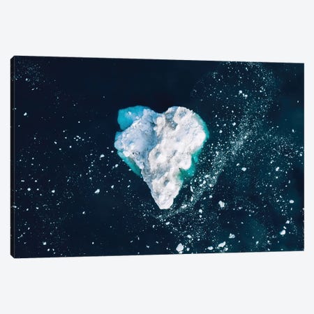 Heart In The Frozen Ocean Canvas Print #SCE147} by Michael Schauer Canvas Art