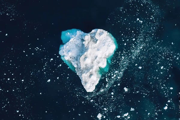 Michael Schauer: Heart In The Frozen Ocean by Michael Schauer