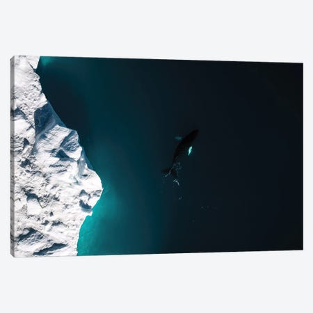 Lone Humpback Whale In Front Of A Glacier In Greenland Canvas Print #SCE156} by Michael Schauer Canvas Art Print