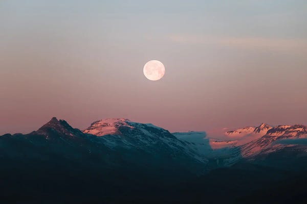 Iceland: Moonrise Over Pink Mountains During A Calm Sunset In Iceland by Michael Schauer