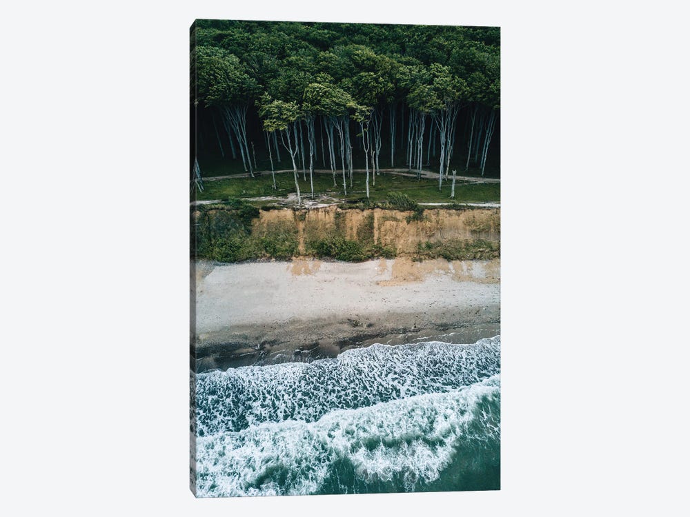 Forest On The Beach During A Stormy Day by Michael Schauer 1-piece Canvas Art