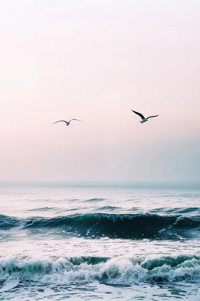 Birds And Ocean Waves At The West Coast At Sunset