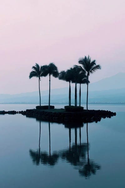 Minimalist Photograph Of A Palm Island Reflection During A Pastel Blue And Pink Morning