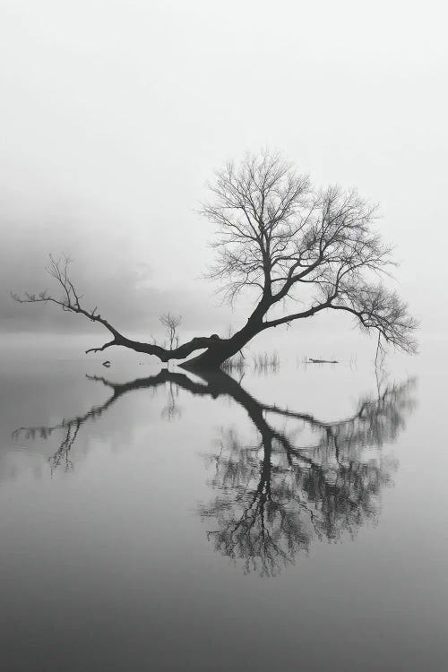 Minimalist Black And White Photograph Of A Tree Reflection In A Calm Lake by Michael Schauer wall art