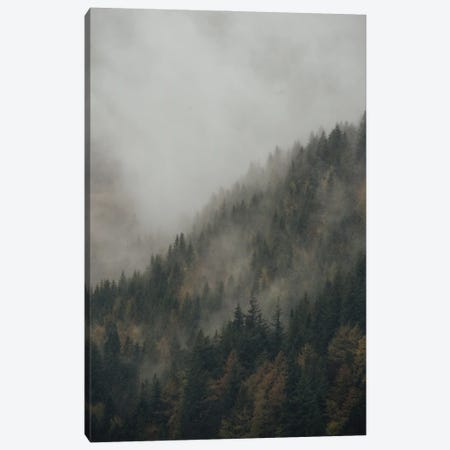 Foggy Mountain Forest Canvas Print #SCE30} by Michael Schauer Canvas Art Print
